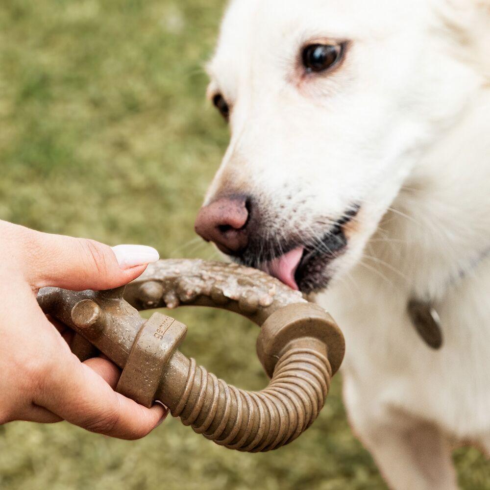 Roscão Irresistível De Bacon Para Cães - Brincadeira Divertida E Saborosa! - 3