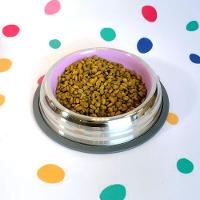 Comedouro Antiderrapante Inox Rosa 450ml - Elegância E Conforto Para Seu Pet - 5