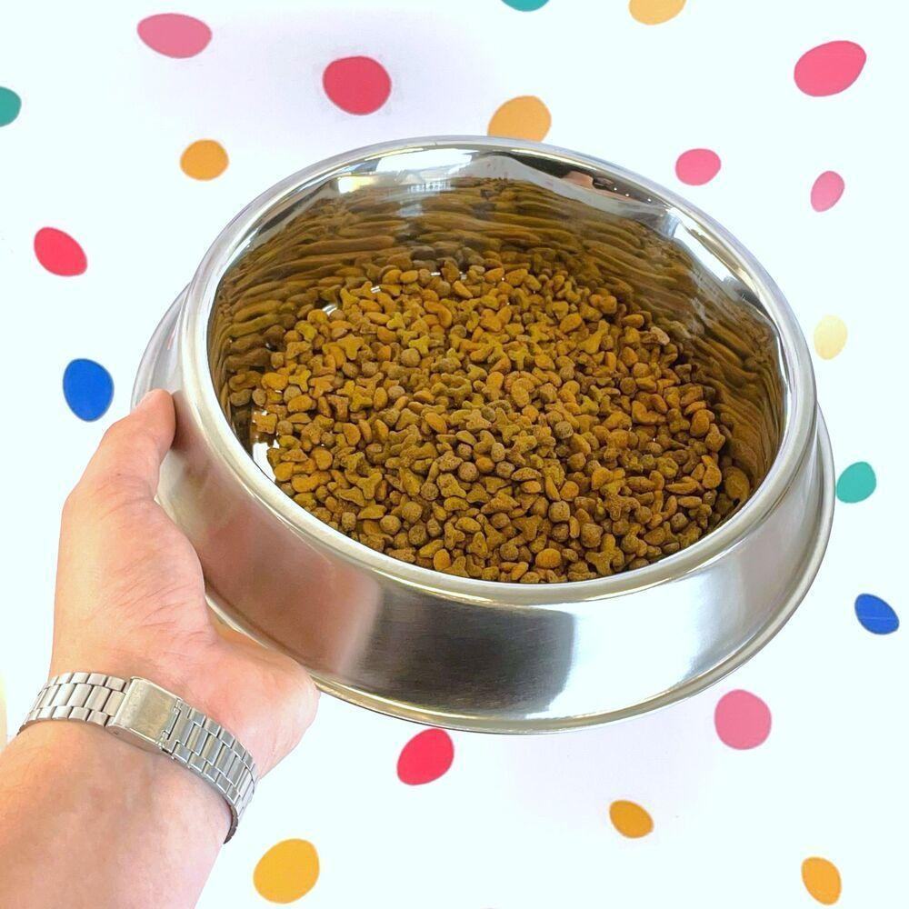 Comedouro Antiformiga Inox 1350ml - Dupla Prática E Elegante Para Pets! - 4
