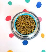 Comedouros Inox Azul Com Base Antiderrapante - Elegância E Praticidade Para Seu Pet - 5