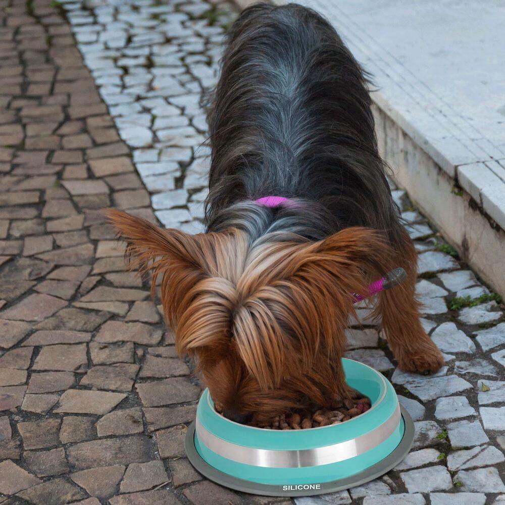 Comedouro Antiderrapante Azul Em Aço Inoxidável 450ml - Estilo E Durabilidade Para Pets - 2