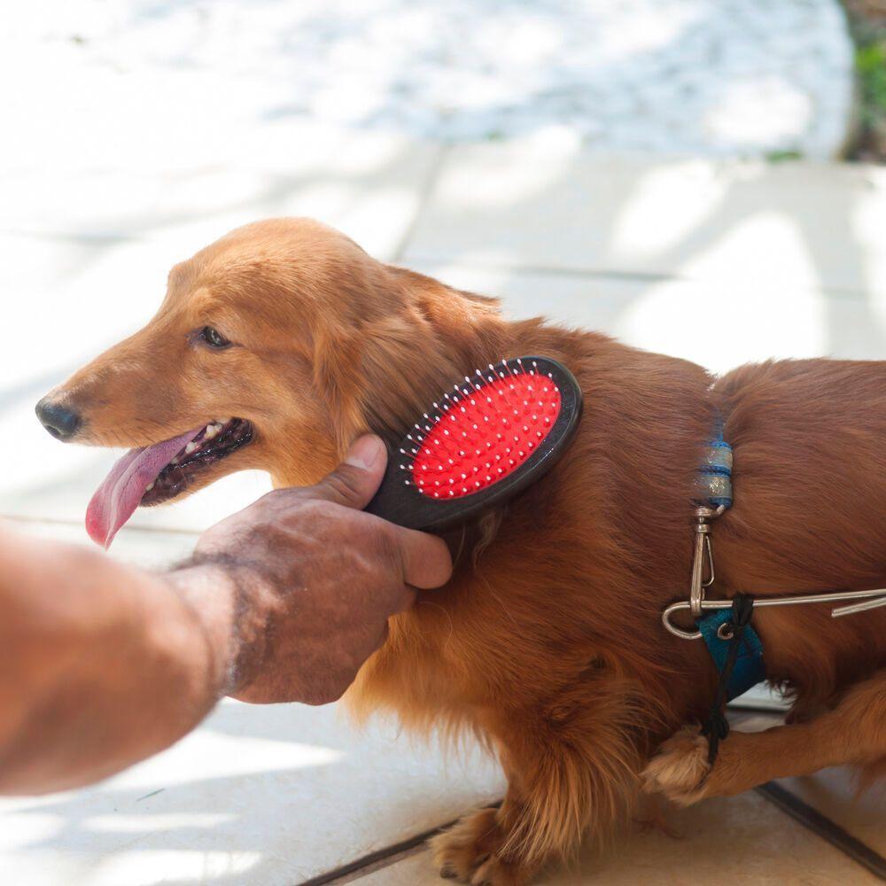 Escova Mágica 2 Em 1 Para Pets - Brilho E Cuidado Sem Esforço - 3