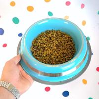 Comedouro Antiderrapante Azul Em Aço Inox 850ml - Estabilidade E Durabilidade Para Seu Pet