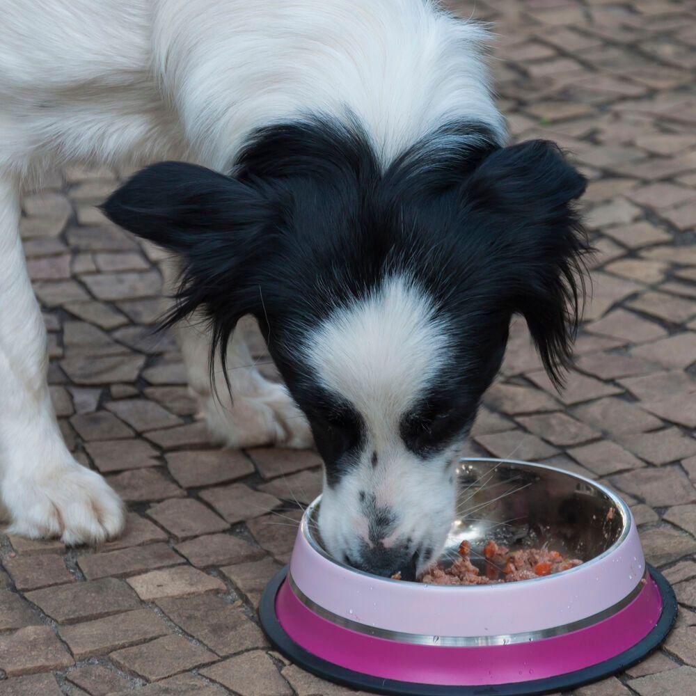 Comedouro Duplo Rosa Em Aço Inoxidável 850ml - Estilo E Conforto Para Seu Pet! - 2