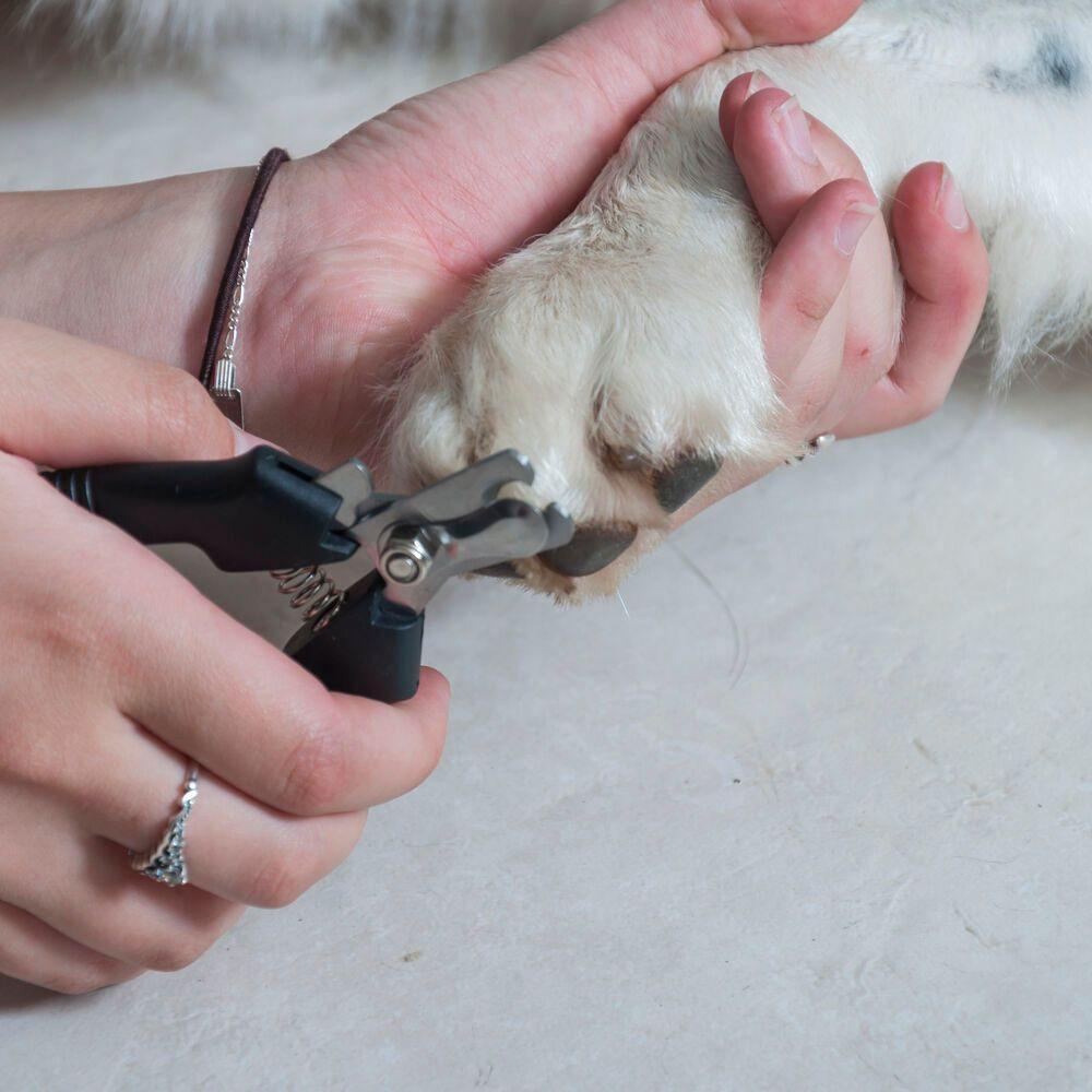 Cortador De Unhas Para Pets - Ergonomico E Profissional Em Aço Inoxidável - 2
