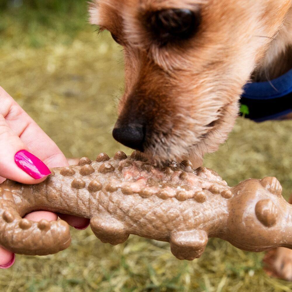Brinquedo Dental Interativo Com Aroma De Carne - Diversão E Saúde Para Seu Cão - 2