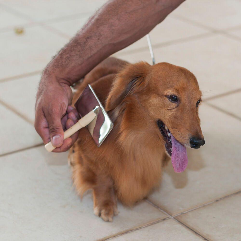 Escova De Madeira Premium Para Pets - Conforto E Cuidados Para Cães E Gatos - 3