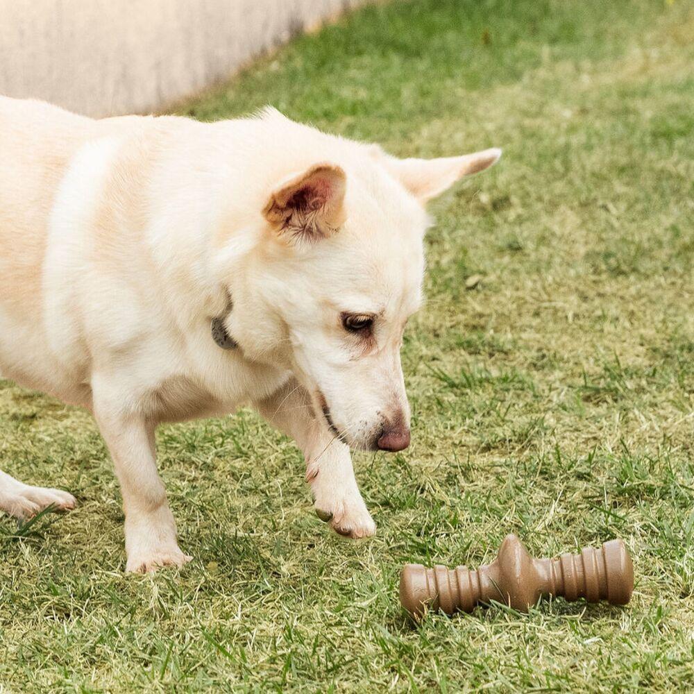 Brinquedo Mordedor Churrasco: Sabor E Diversão Para Seu Cão! - 2