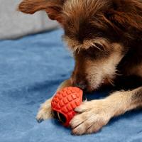 Bola Interativa Divertida Para Pets - Brincadeira Resistente E Saudável! - 2