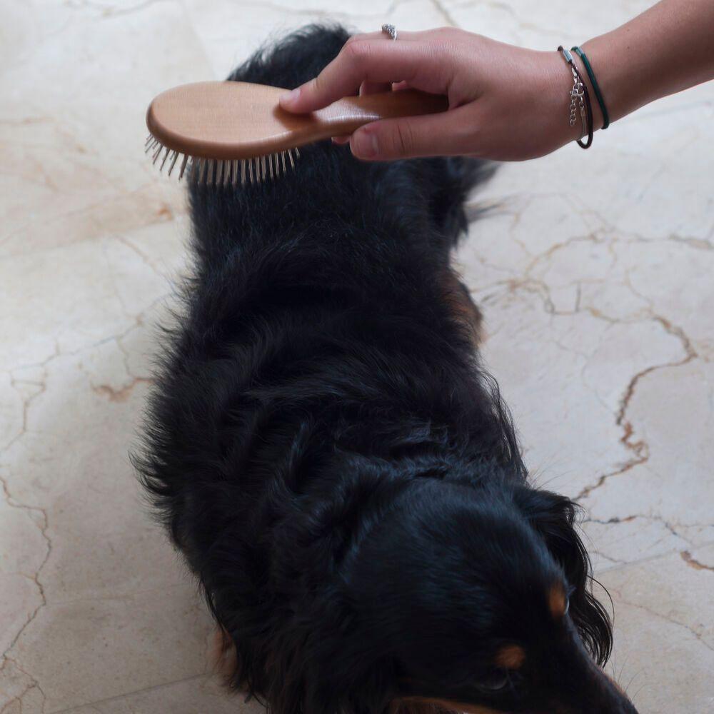 Pente Veterinário Duplo Para Cães - Escovação Confortável E Eficiente - 2