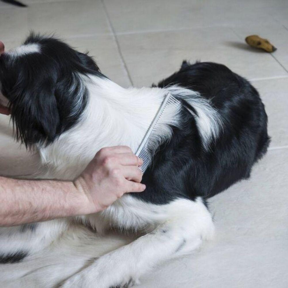 Pente Profissional Para Cuidados De Cães E Gatos - Diga Adeus Aos Nós Com Facilidade! - 2