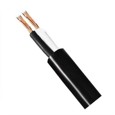 Fio Cabo Flexível 2 X 2,50mm - 100 Metros - Uso Elétrico - Corfio