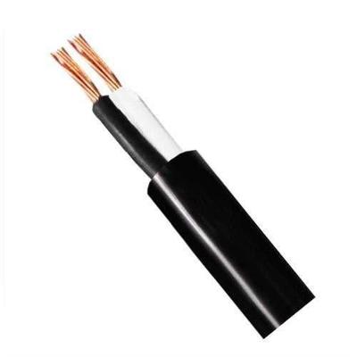 Fio Cabo Flexível 2x1,00mm - 100 Metros - Corfio - Elétrica E Instalações