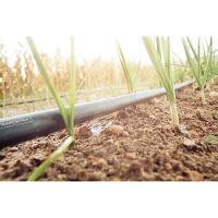 Mangueira De Pebd Tramontina 3-4 X 2,5 Cm 1 Camada 50 M Tramontina