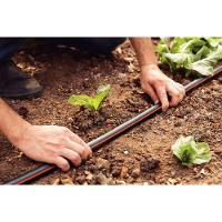 Mangueira De Pebd Tramontina 3-4 X 2,5 Cm 1 Camada 50 M Tramontina - 7