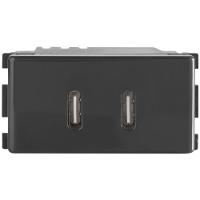 Módulo 2 Tomadas Usb-c 2 A Bivolt Tramontina Grafite Compatível Com Liz Lux² Giz Tablet Lizflex Tramontina - 2