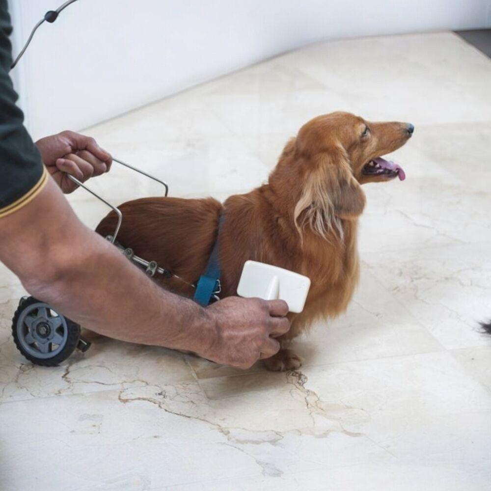 Escova Desembaraçadora Ergonômica Para Pets - Cuidados E Conforto Em Cada Escovação - 2