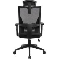 Cadeira Ergonômica Fortrek Ergo Shield Mesh Preta [f002]