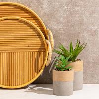 Vaso Copa E Cia Nature Médio - 2