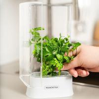 Pote Porta-ervas De Geladeira Tramontina Organizzare 61820100 1,2l Transparente