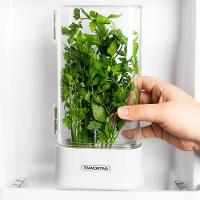 Pote Porta-ervas De Geladeira Tramontina Organizzare 61820100 1,2l Transparente - 7