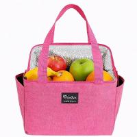 Bolsa Termica Grande Academia Parque Piquinique Marmita Frutas Alca 2 Bolsos Multiuso Luxo Rosa - 1