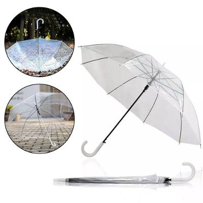 Guarda Chuva Transparente Automatico Bengala Grande Resistente Cabo Curvo Tipo Portaria Seca Rapido Adulto Unissex