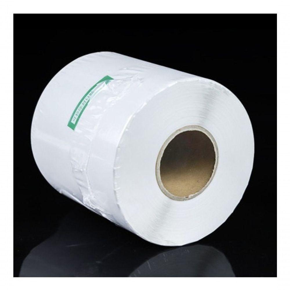 10 Rolos Etiqueta 10x15 100x150 Térmica Serrilha Zebra Elgin - 2