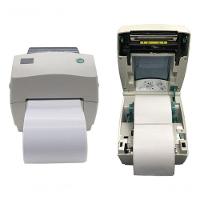 10 Rolos Etiqueta 10x15 100x150 Térmica Serrilha E-commerce - 5