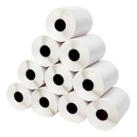 10 Rolos Etiqueta 10x15 100x150 Térmica Serrilha Zebra Elgi - 1