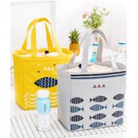 Bolsa Termica Portatil Sacola Cooler Praia Necessaire Fitness Marmiteira Lancheira Ecologica Academia Viagens