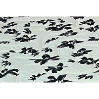 Cama Box Baú Solteiro: Colchão Anatômico Paropas D33 Pasquale Wave Clean + Base Crc Suede Clean (88x188)