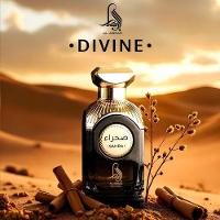 Al Absar Divine Sahra Eau De Parfum - Perfume Masculino 100ml - 4