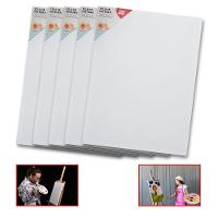 Kit 5 Telas De Pintura Comum 30x40 100% Algodão Pronta Branca N-a - 1