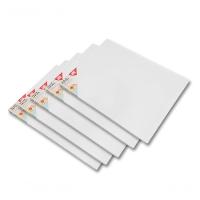 Kit 5 Telas De Pintura Comum 30x40 100% Algodão Pronta Branca N-a - 3