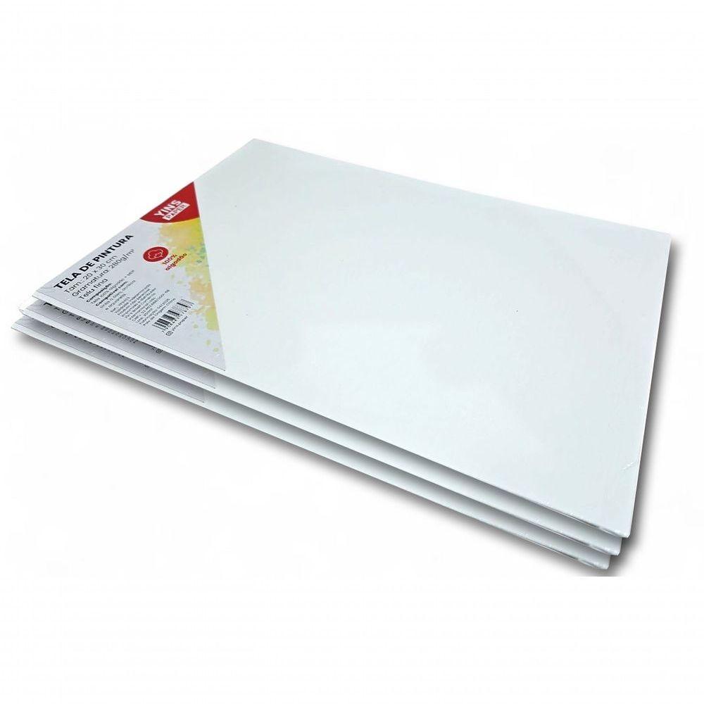 Kit 3 Telas De Pintura Fina 20x30 100% Algodão Pronta - 3