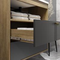 Balcão Para Banheiro Com Pia E 2 Gavetas Grafite Bertolini Grafite/carvalho - 4