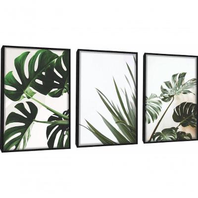 Quadros Decorativos Folhas De Adão Com Moldura Preto