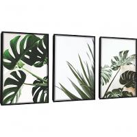 Quadros Decorativos Folhas De Adão Com Moldura Preto - 1