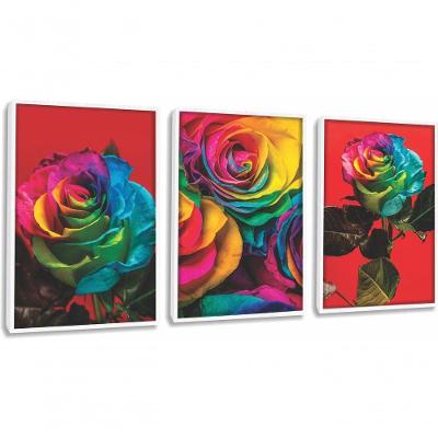 Quadro Decorativo Flor Colorido Fundo Vermelho Com Moldura Branco