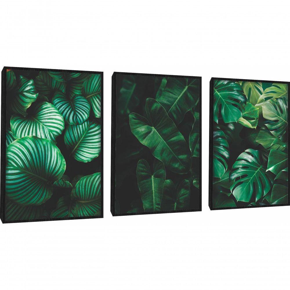 Quadro Decorativo Folhagem Verde Com Moldura Preto - 1