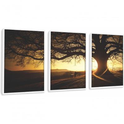Quadros Decorativos árvore Por Sol Paisagem Com Moldura Branco