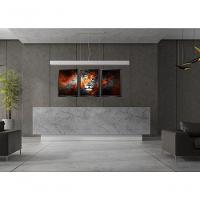 Quadro Decorativo Leão Com Moldura Preto - 2