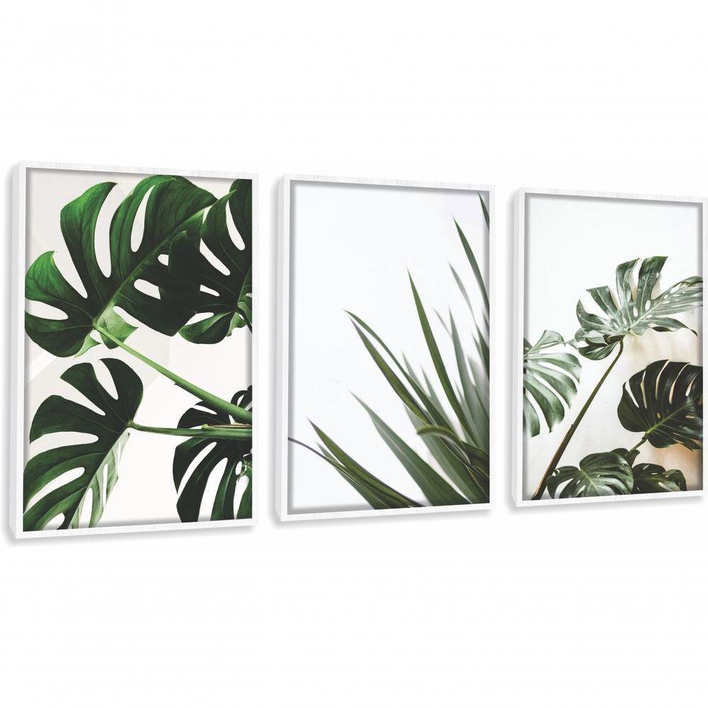 Quadros Decorativos Folhas De Adão Com Moldura Branco - 1