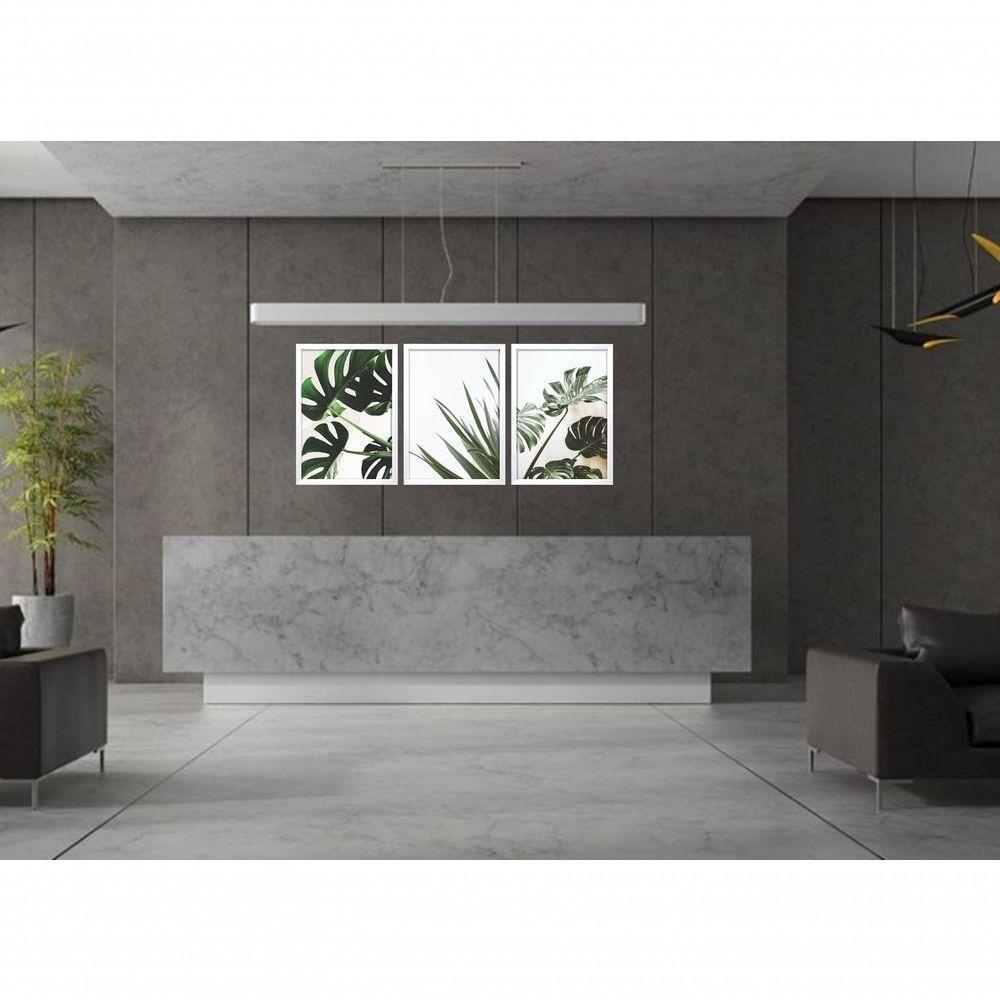 Quadros Decorativos Folhas De Adão Com Moldura Branco - 3