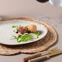 Conjunto De Pratos Rasos Oval 06 Peças Orgânico Vanilla Porto Brasil - 8