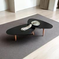 Kit 2 Mesas De Centro Orgânicas Pés Palito Em Madeira Cor Preto - 5