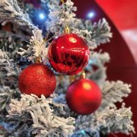 Conjunto 6 Bolas De Natal Vermelho Prime Texturas Mistas 5cm Glitter, Brilho E Fosca - 2