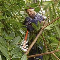 Aparador De Cerca Viva Elétrico 500w 22 Polegadas – 220V - 6