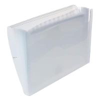 Pasta Sanfonada A4 Com 12 Divisórias Cristal - Acp - 2